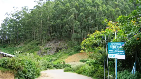 A bend on the Top Station approach road beside buildings and a Periyar Residency sign.