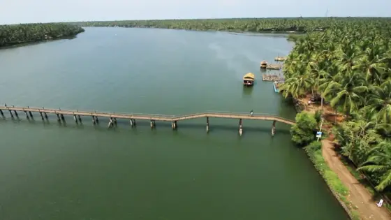 An elevated view of Valiyaparamba’s water, coconut shores, a narrow bridge and houseboats.
