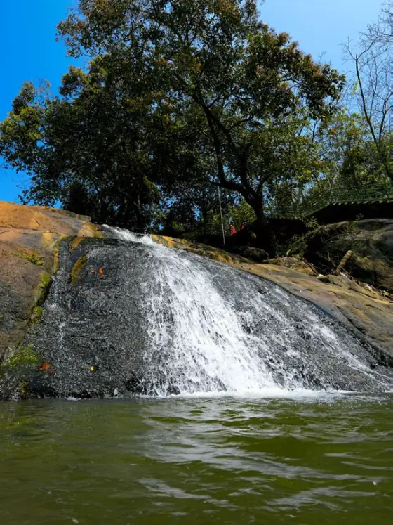 Water spreads down a smooth, dark rock face beneath trees at Aruvikkuzhi, with green railings visible above the cascade.
