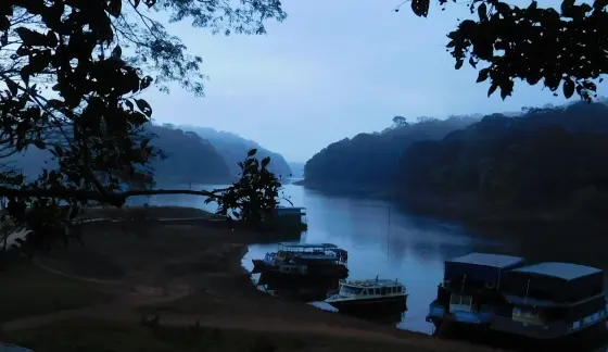 Boats are moored in a shaded inlet beneath the wooded Periyar shore.