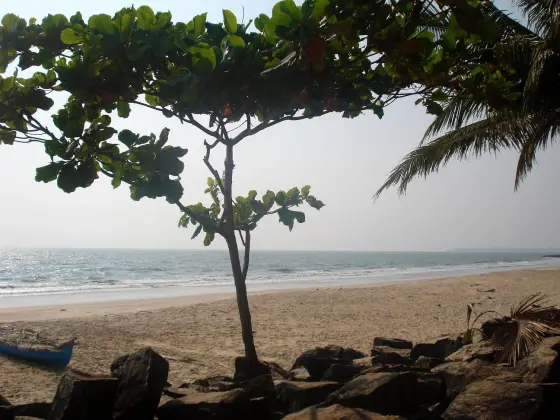 A tree frames the sand, a blue boat edge and stones along the shore.