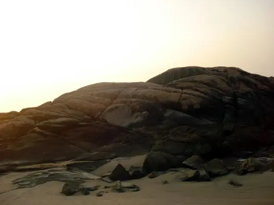 Warm light reveals layered surfaces on a rounded coastal rock.