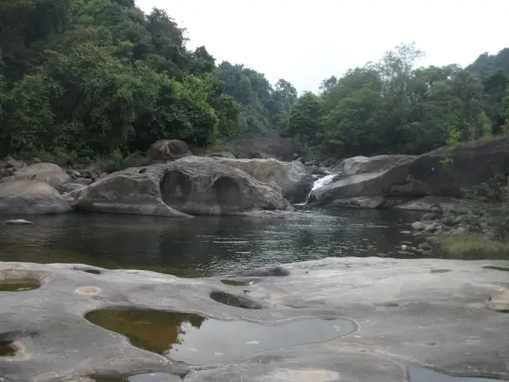 Still water occupies a rock-framed pool beside the Arippara cascade.