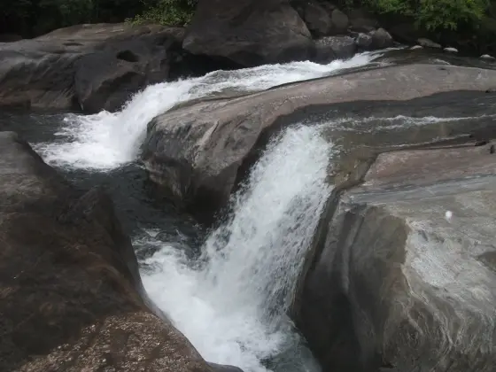Two chutes pass through the wooded Arippara rock channel.