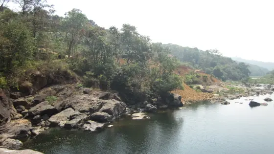 The river runs beside a diagonal rocky bank, with exposed soil and a tree above.
