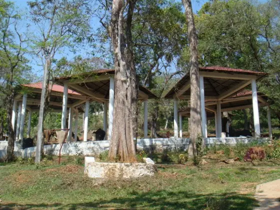 An open-sided shelter has a broad roof supported by rows of columns.