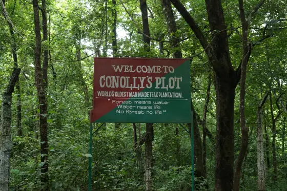 A welcome sign stands among the trees at Conolly’s Plot.