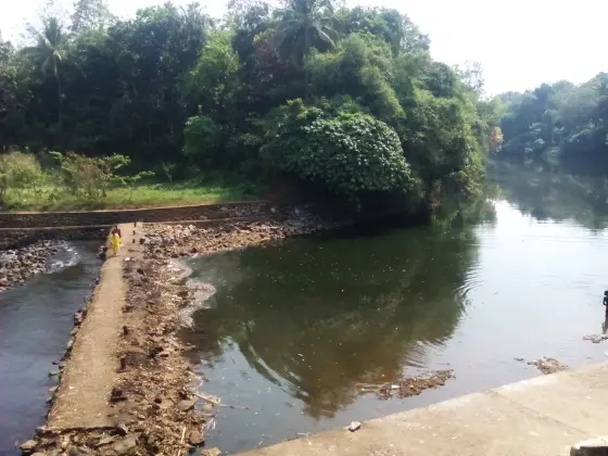 The Achenkoil at Pandalam reflects a wooded bank, with a low masonry crossing visible on the left; river context for the two palace groups.