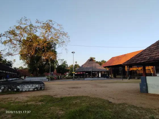 A sandy courtyard surrounds a tree platform and a thatched pavilion at Ambalappuzha.