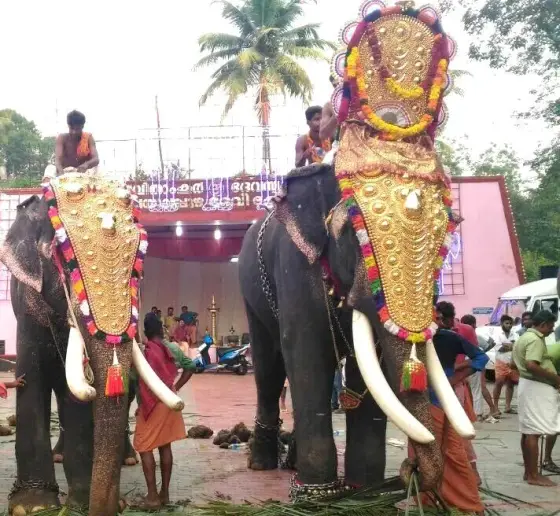 Decorated elephants gather at Malayalapuzha in an archival festival photograph.