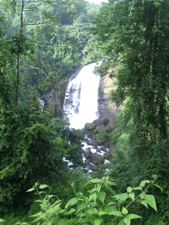 A strong white fall at Valara surrounded by dense green growth.