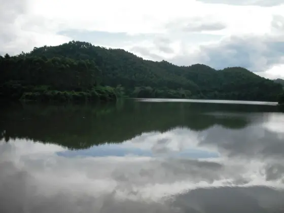 Trees and clouds reflected in the reservoir at Kulamavu.