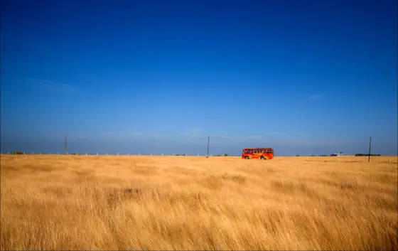 Golden grass and a red bus on Madayipara in December, a contrasting seasonal view of the plateau.