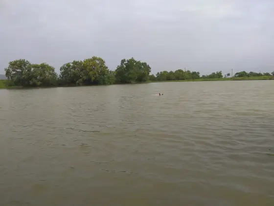 Vadukunda temple pond, with its broad water surface and trees along the bank.