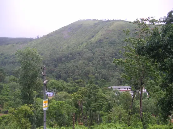 Homes and trees occupy a steep green hillside in Peermade.