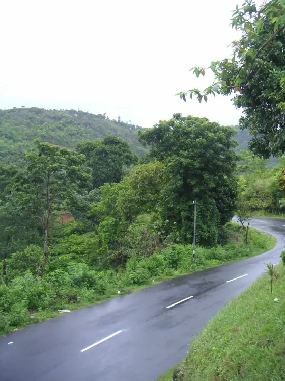 A wet curve through the wooded Peermade road landscape.