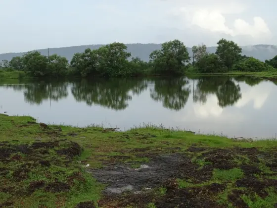 Vadukunda pond reflects its tree-lined bank, with exposed laterite at the viewing edge.