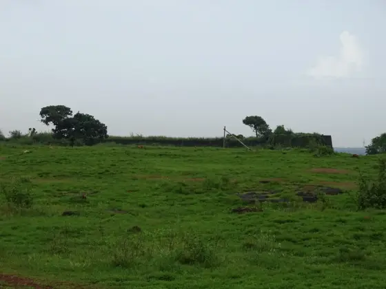 Laterite wall remains of Madayi Fort beyond the plateau grass, a separate nearby historical site.