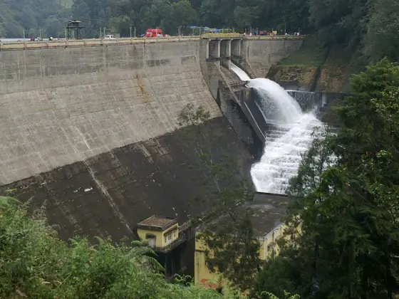 Mattupetty Dam (2)