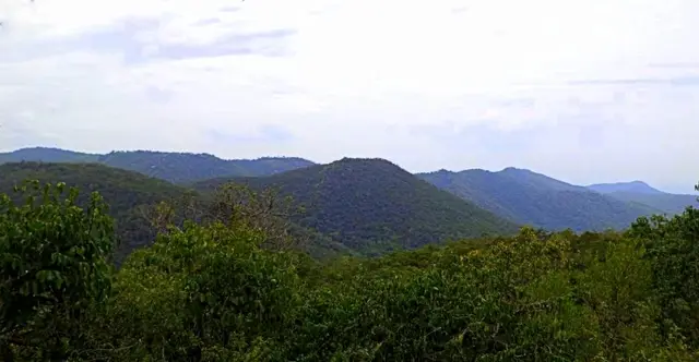 Sitheri Hills, Pappireddipatti
