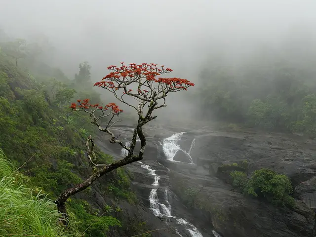 Mallalli Falls, Somwarpet