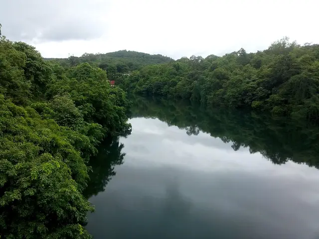 Dandeli Wildlife Sanctuary, Dandeli