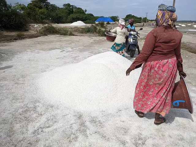 Marakkanam Salt Pans and Beach, Marakkanam