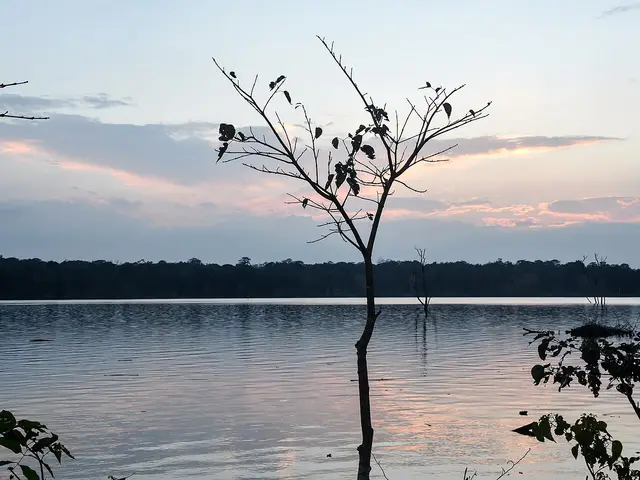 Kabini (Nagarhole), Kabini