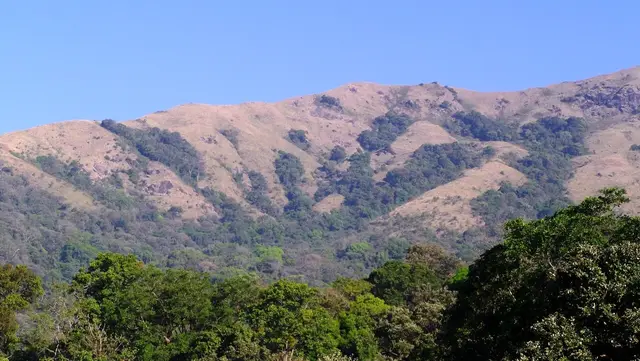 Brahmagiri Peak, Srimangala