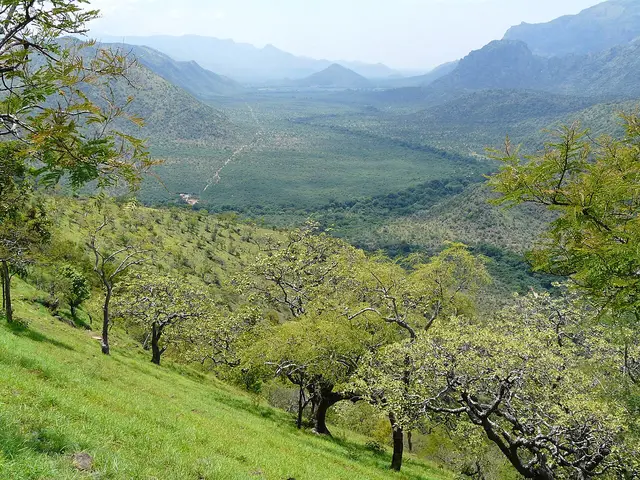 Moyar Gorge, Masinagudi