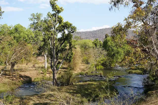 Maravakandy Dam, Masinagudi