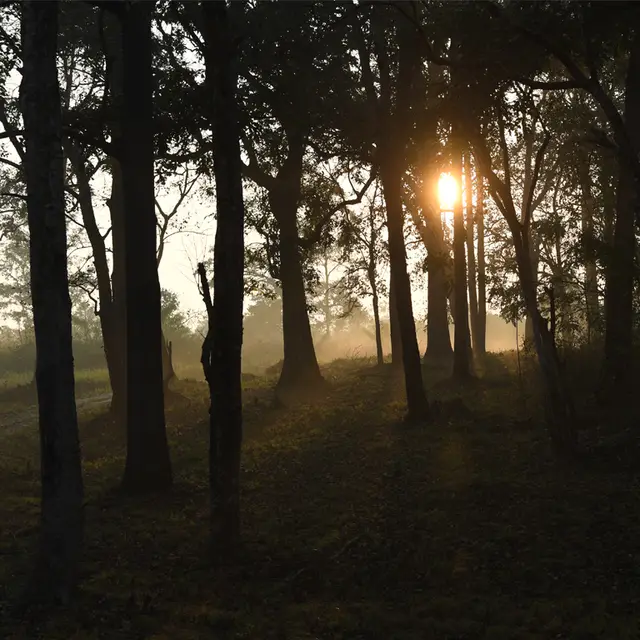 Wayanad Wildlife Sanctuary, Sulthan Bathery