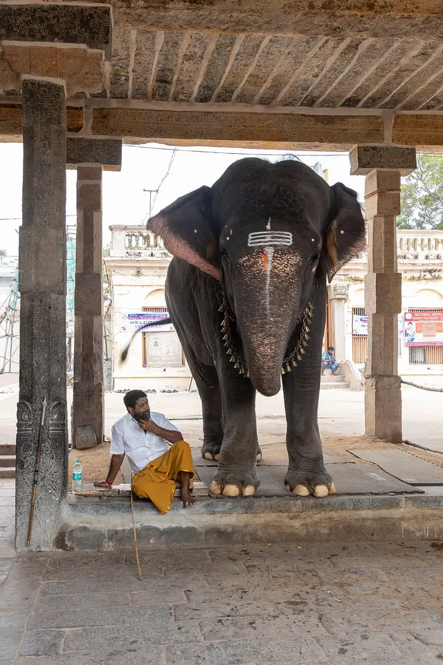 Adi Kumbeswarar Temple, Kumbakonam