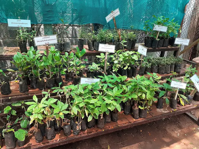 Chennai Snake Park, Guindy