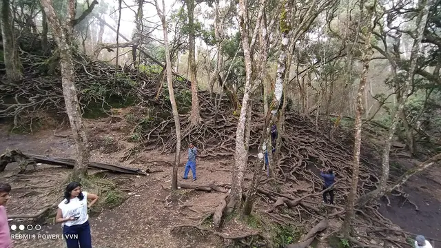 Guna Caves, Kodaikanal