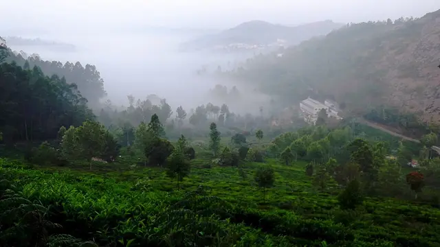 Kodanad View Point, Kotagiri