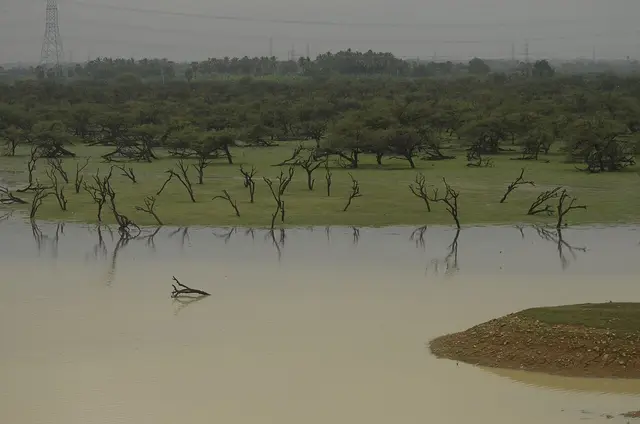 Koonthankulam Bird Sanctuary, Palayamkottai