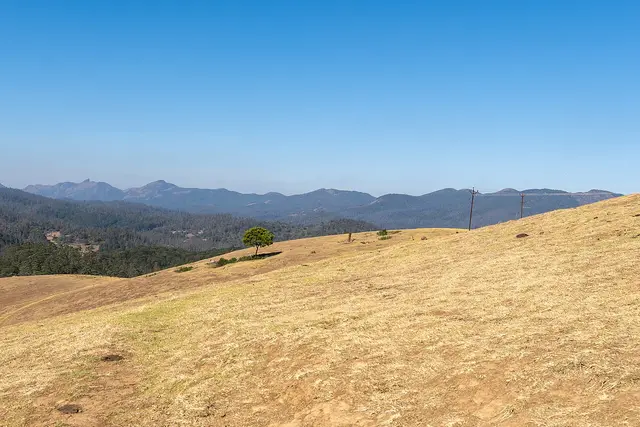 Wenlock Downs, Ooty