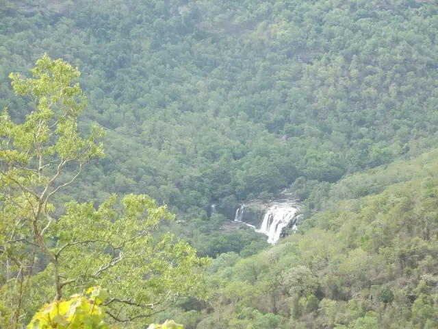 Thoovanam Falls trek, Munnar
