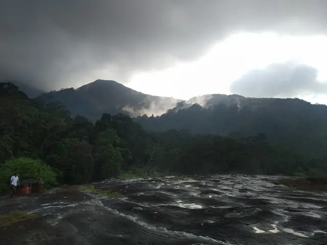 Kesavan Para, Nelliyampathy