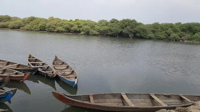 Bharathapuzha estuary, Ponnani