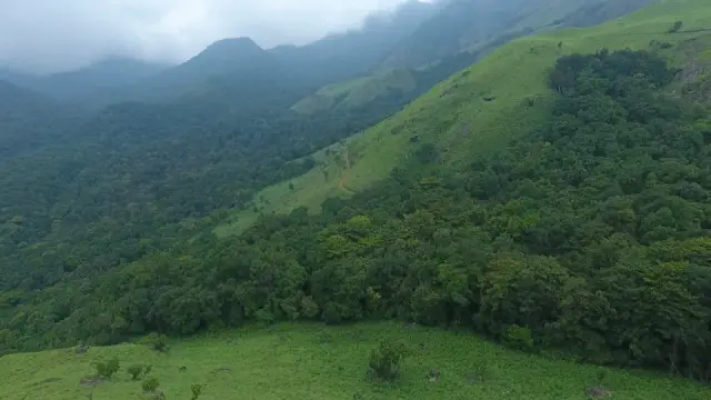 Aranamala Peak, Meppadi and Chembra