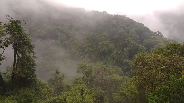 Silent Valley National Park, Silent Valley and Mukkali