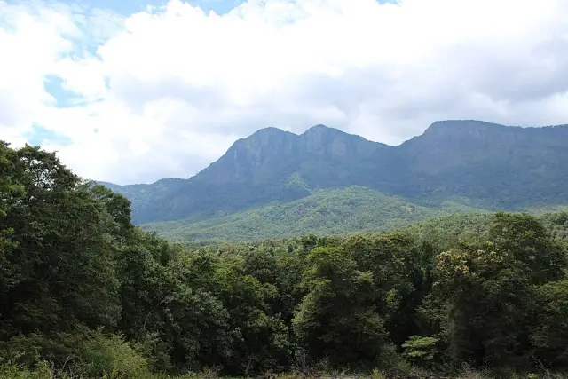 Parambikulam Tiger Reserve, Parambikulam