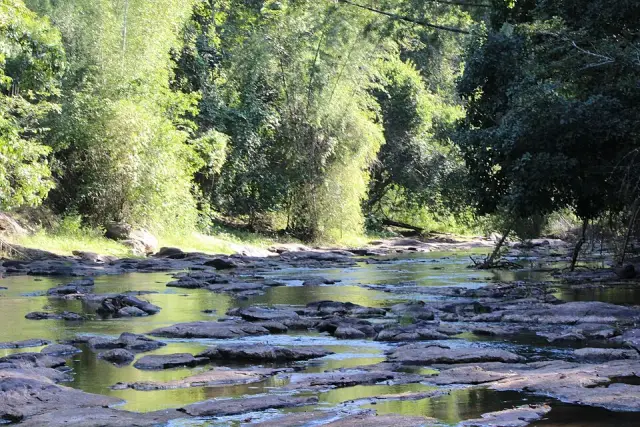 Parambikulam Tiger Reserve, Parambikulam