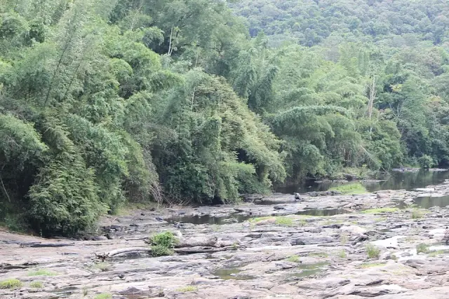 Parambikulam Tiger Reserve, Parambikulam