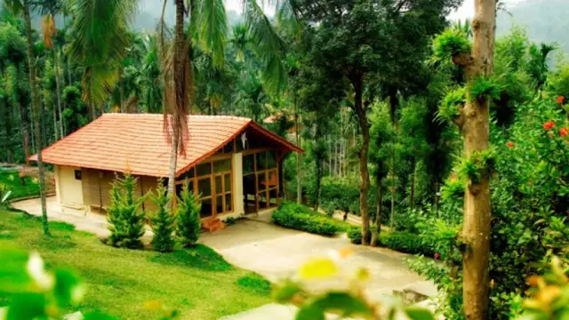 Marmalade Springs Retreat Kalpetta, Kalpetta