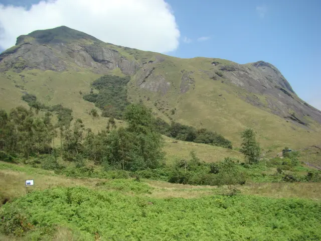 Anamudi Peak, Munnar