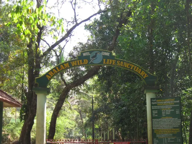 Aralam Wildlife Sanctuary, Aralam trek