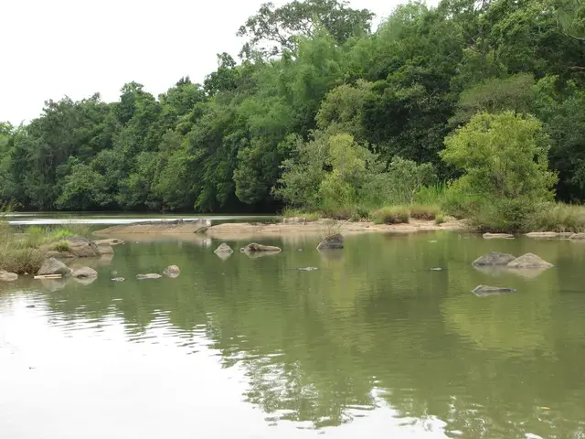 Kuruva Island, Thrissilery Shiva Temple